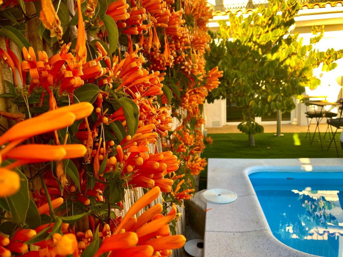 Suite Breeze - Private Heated Pool Μάλαγα Εξωτερικό φωτογραφία